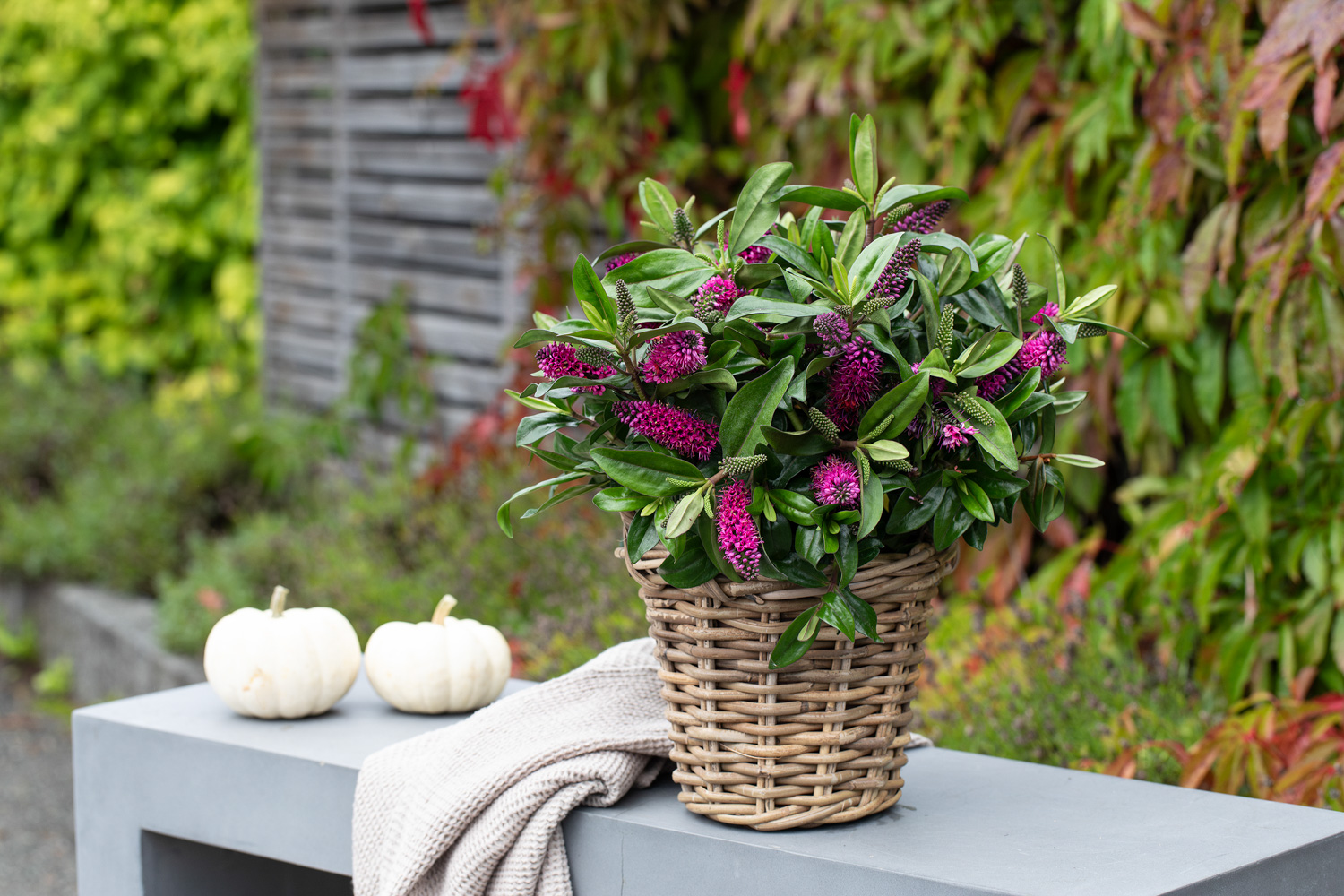H&oslash;stblomster